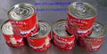 tomato paste 210