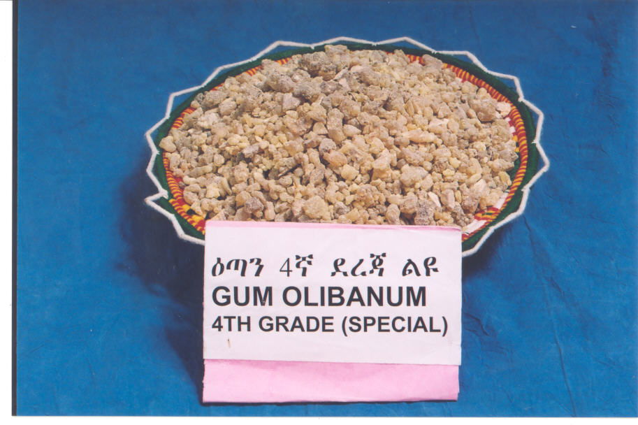 GUM OLIBANUM