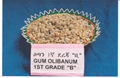 GUM OLIBANUM