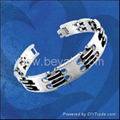 stainless steel jewelry; titanium