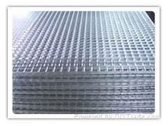 Stainless Steel/Galvanized Wire/Wire Mesh 2