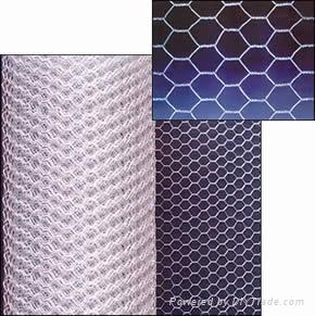 Stainless Steel/Galvanized Hexagonal Wire Netting