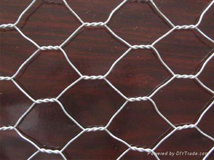 Stainless Steel/Galvanized Hexagonal Wire Netting 2