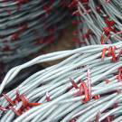 galvanized steel wire