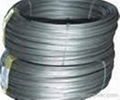 black annealed iron wire 1