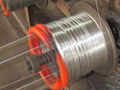 Electro Galvanized Iron Wire