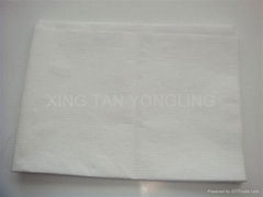 Disposable Nonwoven Bed Sheet