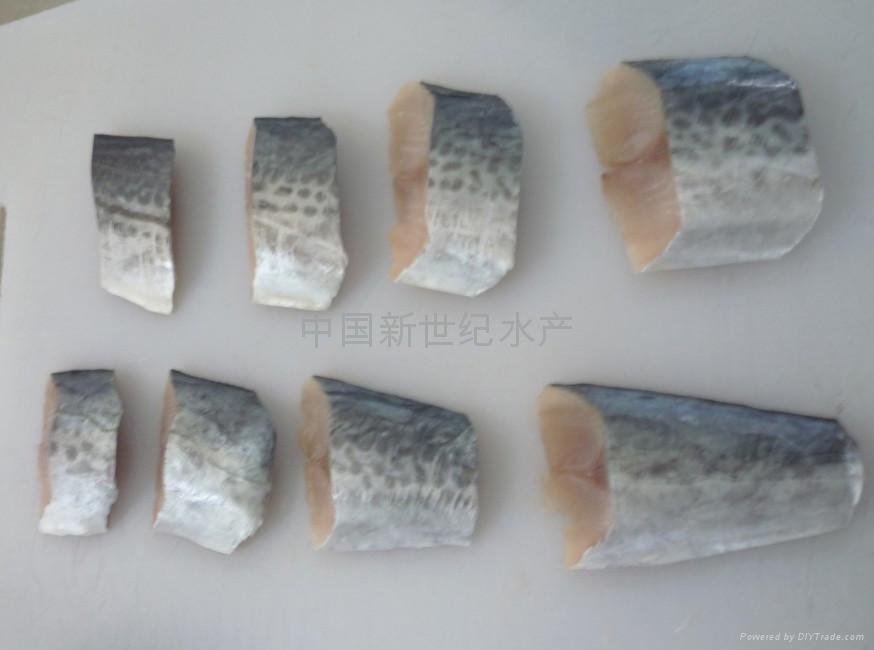 spanish mackerel series products