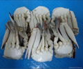 Half cut crab(frozen) 1