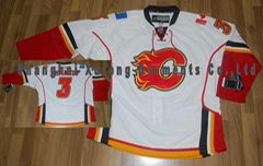 Latest NHL Jersey (6)