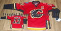 Latest NHL Jersey (8)