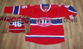 Latest NHL Jersey (10)