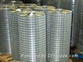 welded wire mesh