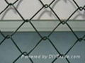 chain link fence 2