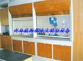 Lab furniture fume hood 4