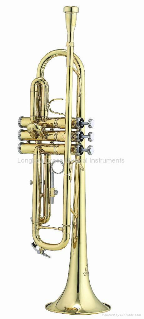 Bb trumpet( GTR-300) 1