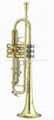 Bb trumpet( GTR-300)