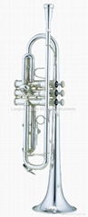 Bb trumpet(GTR-300S)