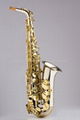 Eb saxophone(XMAS-882BT)