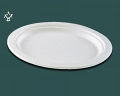 6'' corn starch plate