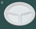 6'' corn starch plate 2