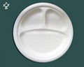 7'' biodegradable round plate 3