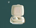 Biodegradable  Food container