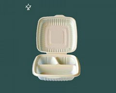 Biodegradable  Food container