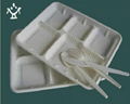 Biodegradable  Food container 2