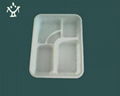 Biodegradable  Food container 3