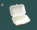 Biodegradable Disposable lunch box