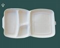 Biodegradable tableware 2