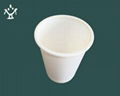 Biodegradable cup 3