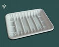 Biodegradable food tray 1