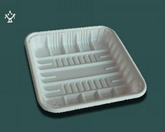 Biodegradable disposable tray