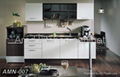 Plywood kitchen cabinet 1