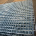 Welded Wire Mesh Panel 1