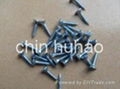 Drywall Screw 4