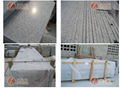 G603 Grey Granite Slab