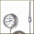 Capillary Thermometer