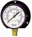 Popular pressure gauge / pressure gauge 3