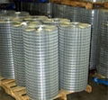 Welded Wire Mesh  4