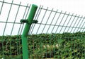 Wire Mesh Fencing 4