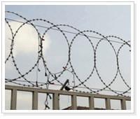 Razor Barbed Wire  4