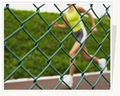 Chain Link Fence  3