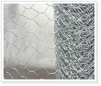 Hexagonal Wire Netting  2