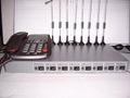 8 ports CDMA FWT