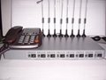8 ports GSM FWT with auto IMEI changer-DTMF-RJ11 interface 1