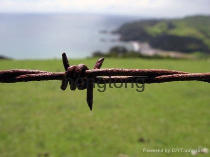 pvc coated barbed wire 3
