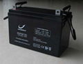 12V100AH sealed lead acid battery